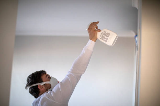 Best Bathroom Mold Remediation in Sky Valley, CA