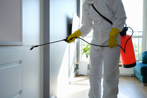 Best Mold Remediation for Specific Building Types in Sky Valley, CA