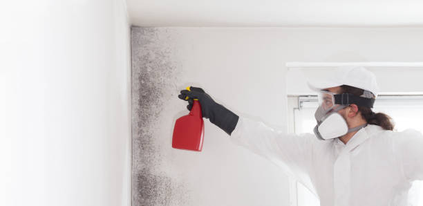 Best Bathroom Mold Remediation in Sky Valley, CA
